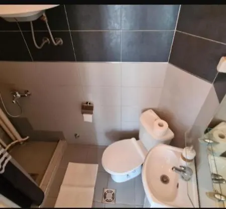 Visoki Stevan Belgrado