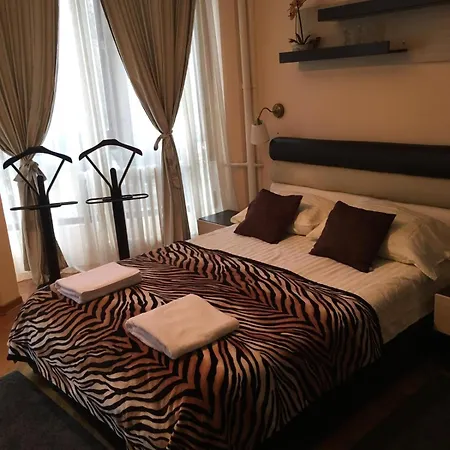 Visoki Stevan Bělehrad