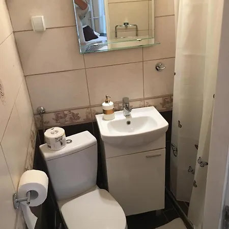 Visoki Stevan Belgrado