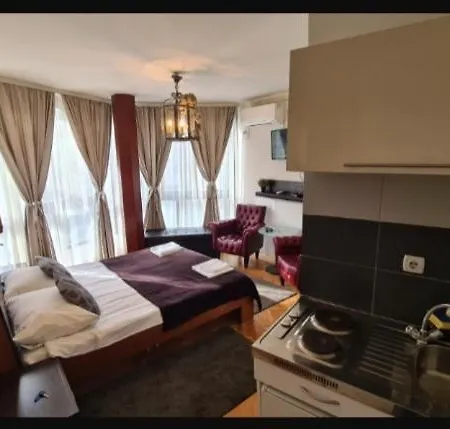 Apartment Visoki Stevan *
